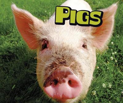 Pigs book