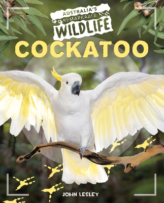 Cockatoo by John Lesley