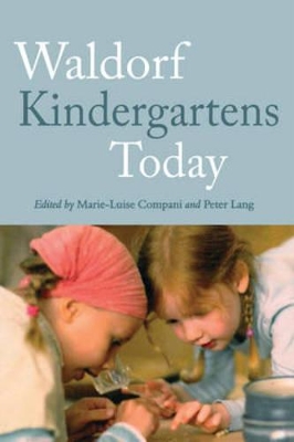 Waldorf Kindergartens Today book