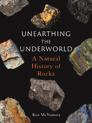 Unearthing the Underworld: A Natural History of Rocks book