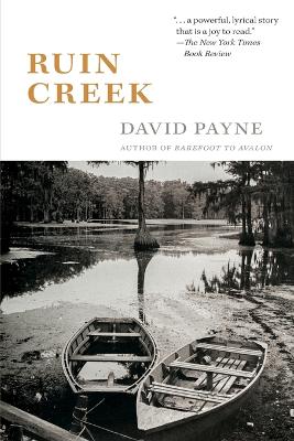 Ruin Creek by David Payne