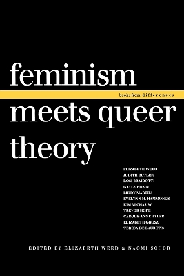 Feminism Meets Queer Theory book