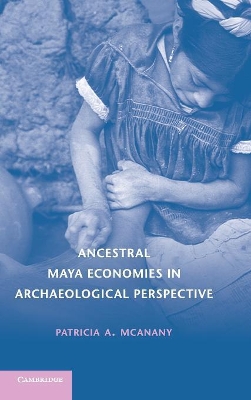 Ancestral Maya Economies in Archaeological Perspective book