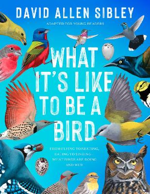 What It's Like to Be a Bird (Adapted for Young Readers): From Flying to Nesting, Eating to Singing--What Birds Are Doing and Why book