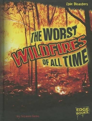 Worst Wildfires of All Time book