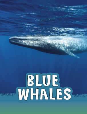 Blue Whales book
