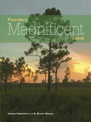 Florida's Magnificent Land by James Valentine