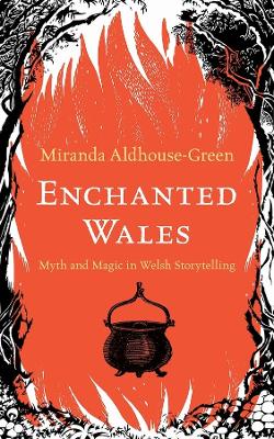 Enchanted Wales: Myth and Magic in Welsh Storytelling book