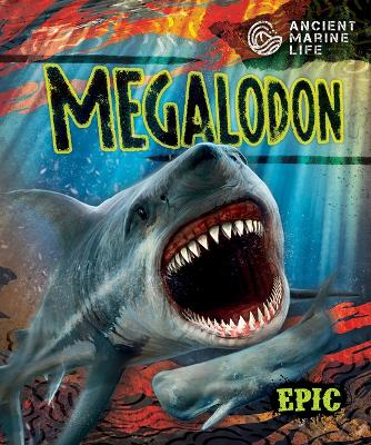 Megalodon by Kate Moening