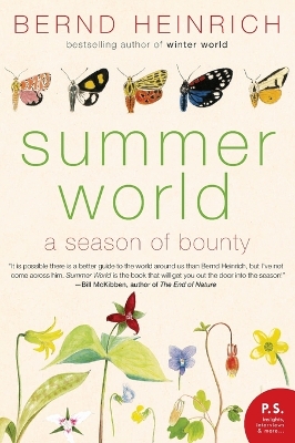 Summer World book