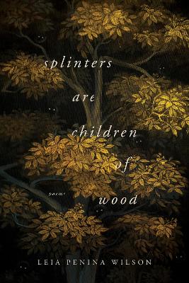 Splinters Are Children of Wood book