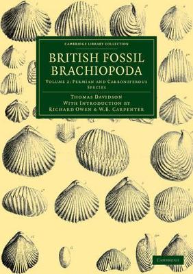 British Fossil Brachiopoda book