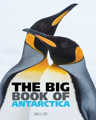 Big Book of Antarctica book