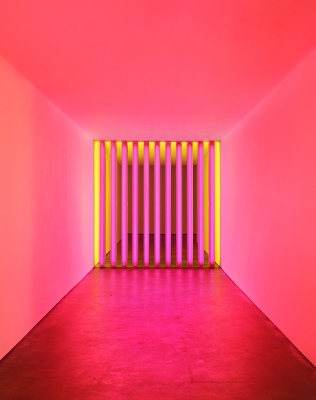 Dan Flavin: Corners, Barriers, and Corridors book