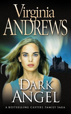 Dark Angel book