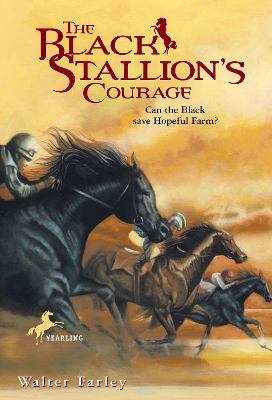 Black Stallion's Courage book