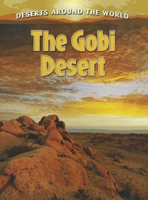 Gobi Desert book