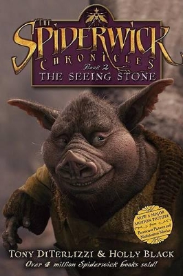 The Seeing Stone book