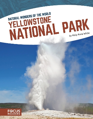 Natural Wonders: Yellowstone National Park book