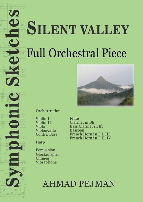 Silent Valley: Full Orchestral Piece book