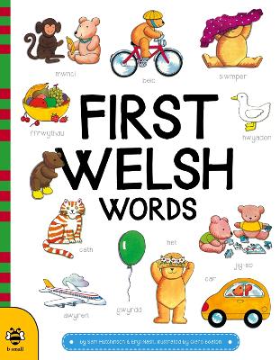 First Welsh Words book