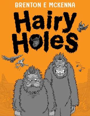 Hairy Holes book
