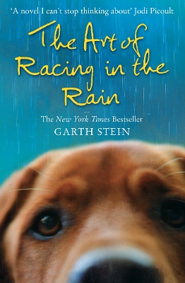 The Art of Racing in the Rain by Garth Stein