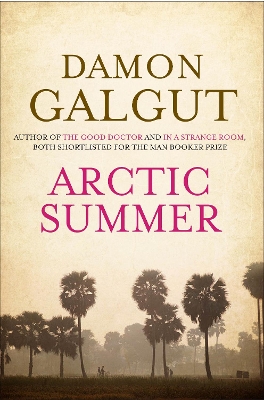 Arctic Summer book