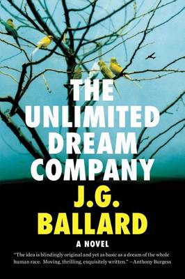 The Unlimited Dream Company book