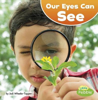 Our Eyes Can See book