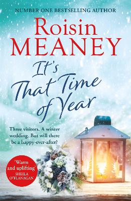 The It's That Time of Year: A heartwarming festive read from the bestselling author of The Reunion by Roisin Meaney