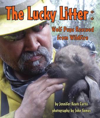 The Lucky Litter by Jennifer Keats Curtis