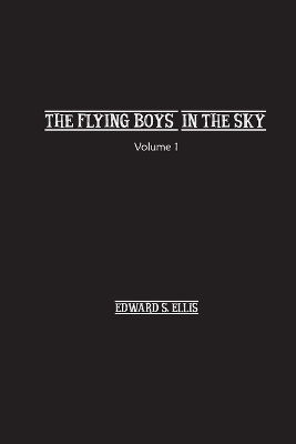 The Fly Boys in the Sky book