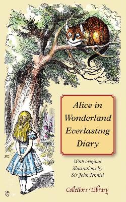 Alice in Wonderland Everlasting Diary book