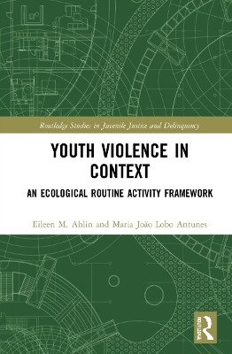 Youth Violence in Context: An Ecological Routine Activity Framework book