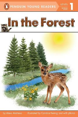 In the Forest book