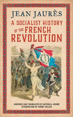 A Socialist History of the French Revolution book