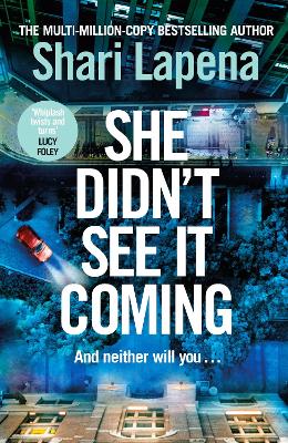 She Didn't See It Coming by Shari Lapena