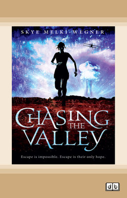 Chasing The Valley: Chassing the Valley (book 1) book