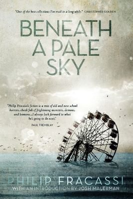 Beneath a Pale Sky book