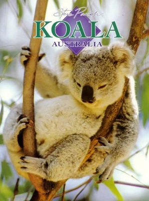 AB Koala Australia by Steve Parish
