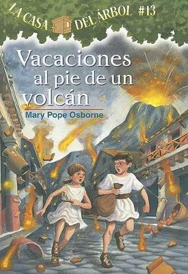 Vacaciones al Pie de un Volcan book