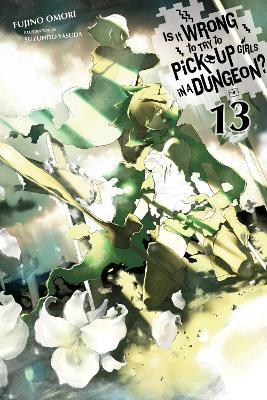 Is It Wrong to Try to Pick Up Girls in a Dungeon?, Vol. 13 (light novel) book