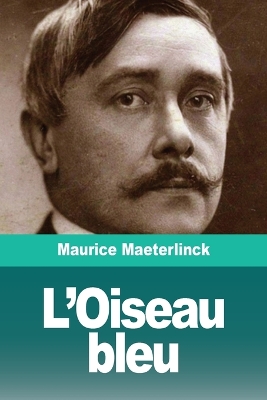 L'Oiseau bleu book