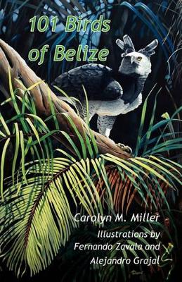 101 Birds of Belize book