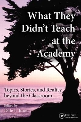 What They Didn't Teach at the Academy book