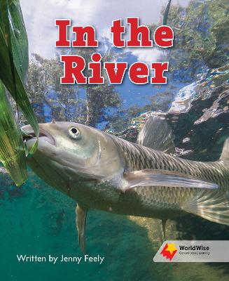 In the River book