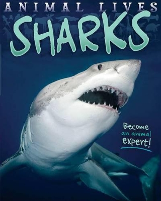 Animal Lives: Sharks book