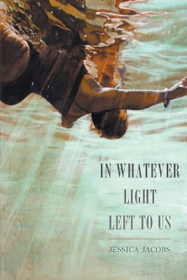 In Whatever Light Left to Us book