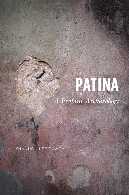 Patina book